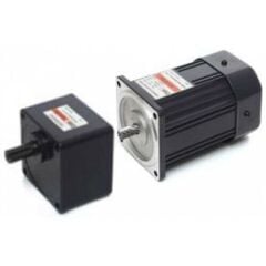 E9R40PXLE 40W - 220V AC Frenli Redüktörlü Motor | Excem Motor