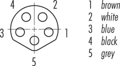 M8 5 Pin Dişi Seyyar B Code Konnektör | M8-BF05T