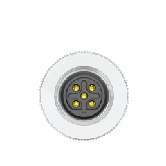 M12 B Code 5 Pin Dişi Düz Metal Konnektör - Velledq M12P-BF05T