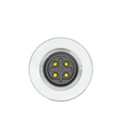 M12 B Code 4 Pin Erkek Düz Metal Konnektör - Velledq M12P-BM04T