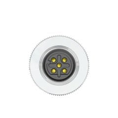 M12 D Code 5 Pin Dişi Düz Metal Konnektör - Velledq M12P-DF05T
