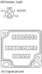 AKTÜATÖR KONNEKTÖR   8000-88559-0000000